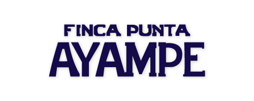Finca Punta Ayampe